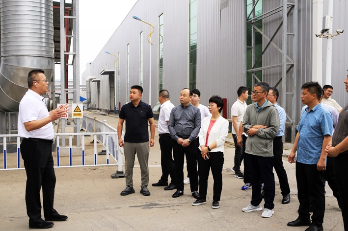 China Wood and Wood Products Circulation Association Visited and Inspected Our Company